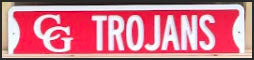 Street Sign- Team Spirit