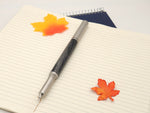 Black & Silver DiamondCast Raw 303 Stainless Rollerball Pen image 0