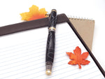 Classic Elite2 24k Gold & Gun Metal Fountain Pen image 4
