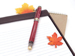 Classic Elite2 24k Gold & Gun Metal Fountain Pen image 4