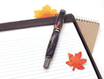 Cameron Fountain Pen in Gun Metal Finish image 1