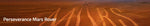 NASA Perseverance Mars Panorama Rollerbal image 1