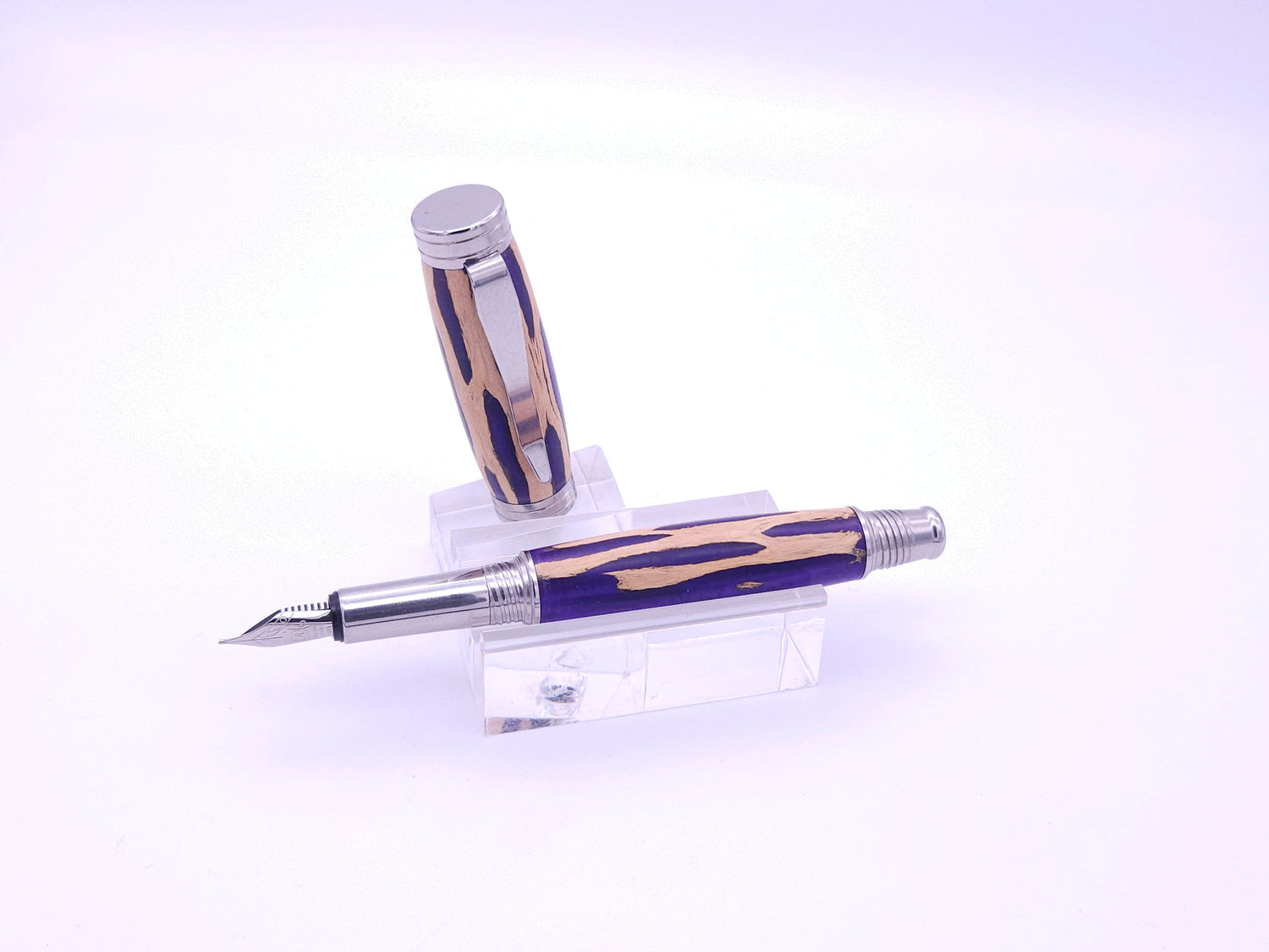 Desire 304 Stainless Steel Fountain Pen | Hybrid Cholla Cactus in Purple Resin