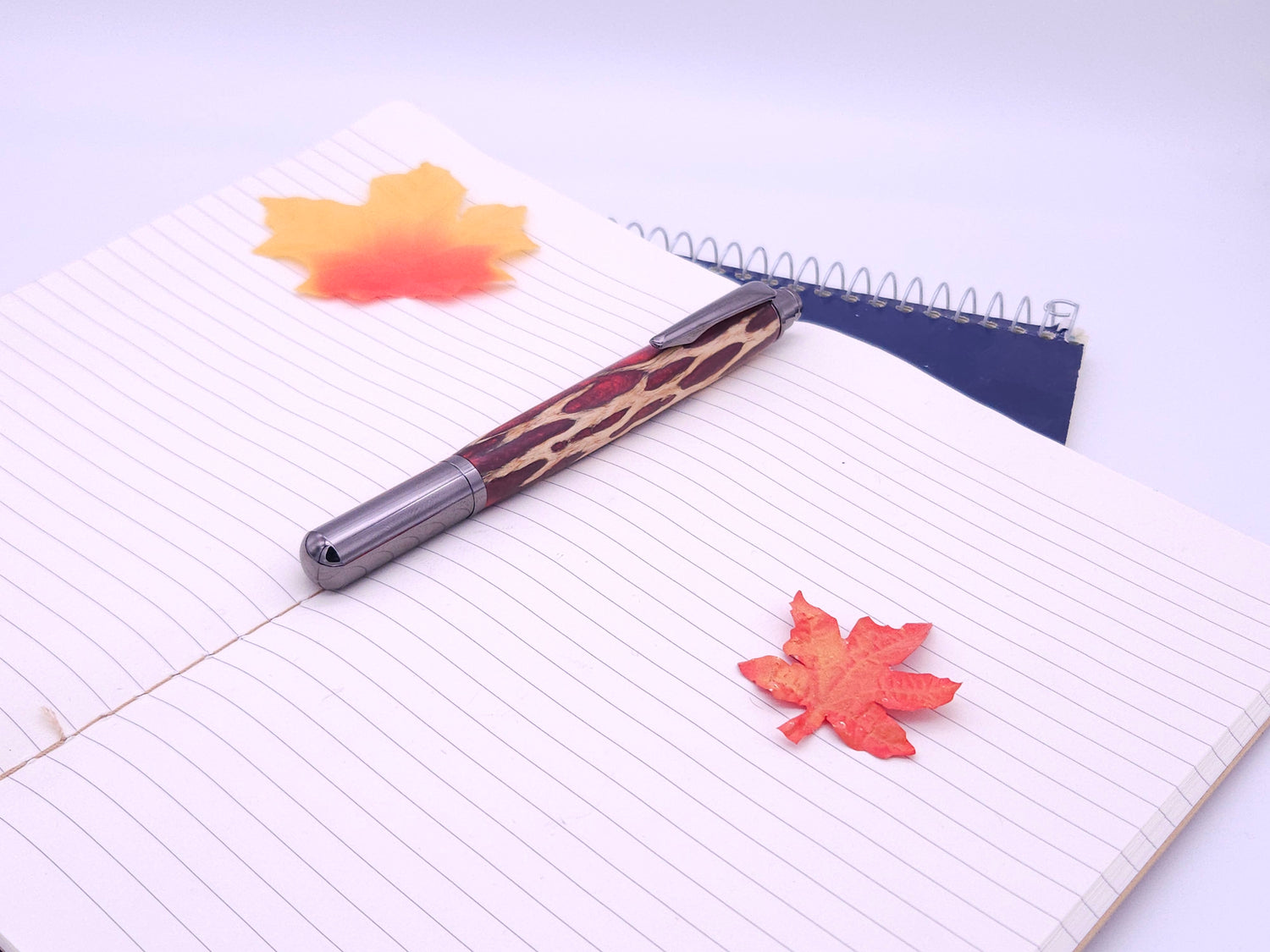 Rollester Gun Metal Rollerball Pen | Hybrid Cholla Cactus in Red Resin